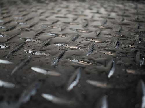 TOYOTA PRIUS PLUS 2012-ON (TAXI VERSION 4-PCS) FULLY TAILORED RUBBER FLOOR MATS - Picture 3 of 14