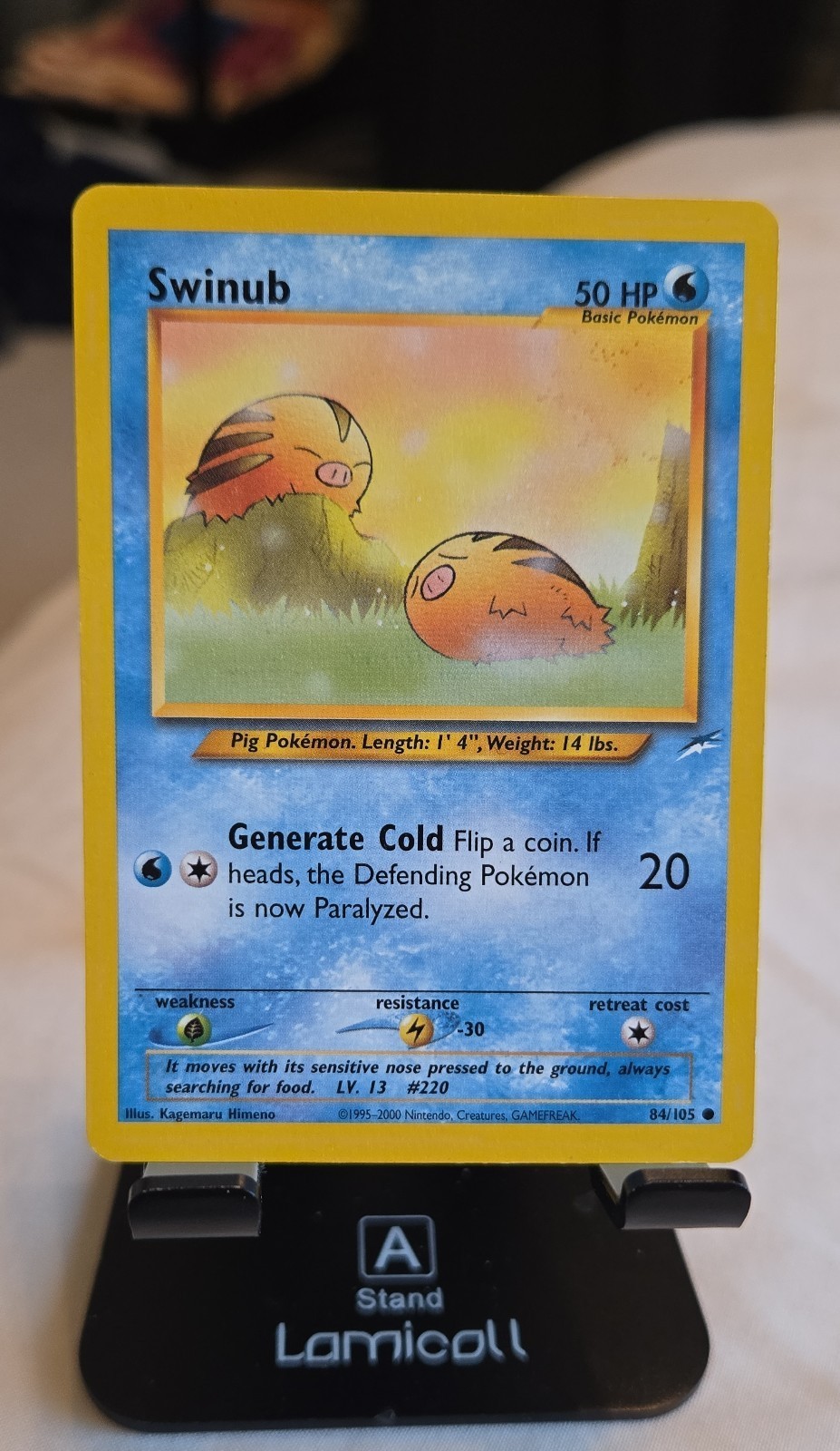 Vintage 2000 Pokemon Trading Card! TCG Swinub 84/105 Neo Destiny Regular