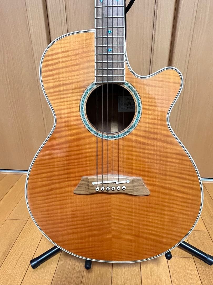 Acoustic Guitar Takamine PT-108 Classic Model with Original Hard