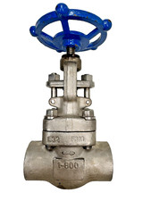 Globe Valve 1" NPT Threaded Class 800 (1,920 psi) Forged 316 Stainless Steel
