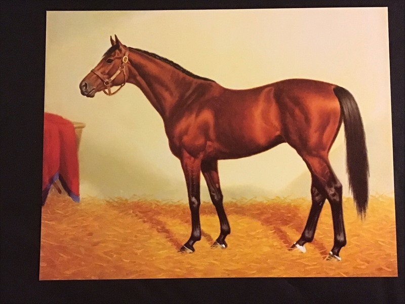 CITATION 4 COLOR PHOTOS LOT Horse Racing  1948 Triple Crown