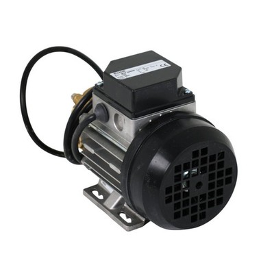 CEME MTP 600HP Peripheralradpumpe Kreiselpumpe Wasserpumpe 230V 0,3kW 1,15A