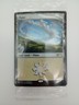 MTG Promo MagicFest 2019 Sealed *FOIL* Lands Plains Island Swamp Mountain Forest