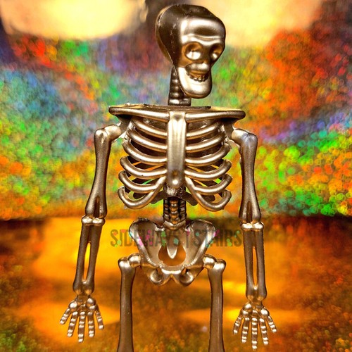 HALLOWEEN COSTUME CONTEST AWARDS 6 PACK gold skeleton trophy w/ labels skull NEW - Picture 10 of 13