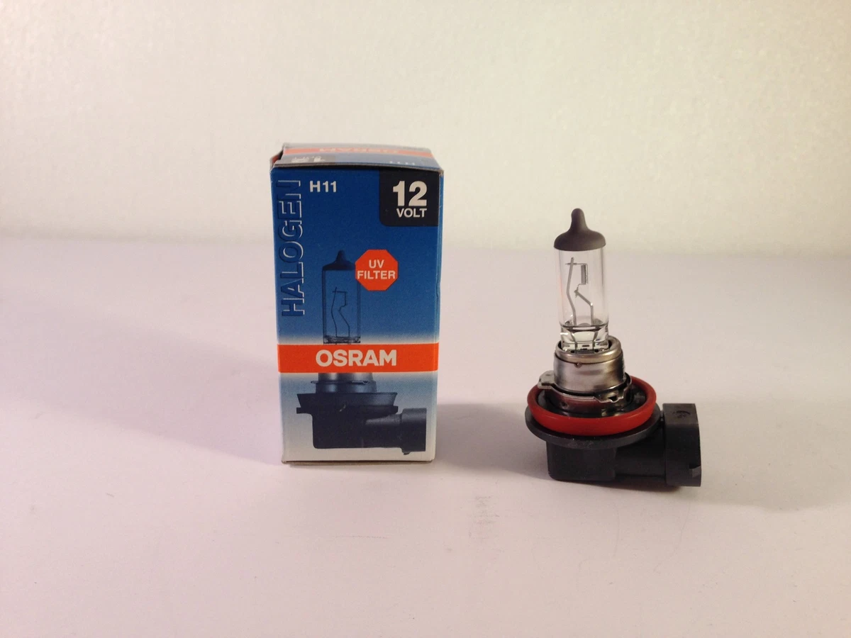 OSRAM H11 12V 55W 64211 L+ Glühbirne Glühlampe Autolampe Halogenlampe  PGJ19-2