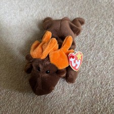 Ty Beanie Baby Chocolate the Moose.