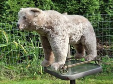 STEIFF 1900s Ride-on Mohair 28" BEAR Iron Wheels Steiff Ear Button, Growler Nice