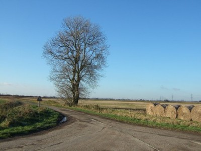 Photo A3 Ryefield Lane viewed from Fen Dike, Gedney Fen Clark's Hill/TF c2010