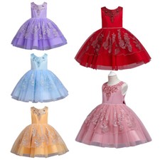 Flower Girls Kids Embroidery Lace Dress Christmas Party Bridesmaid Princess Gown
