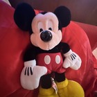 Foto 14 di 18