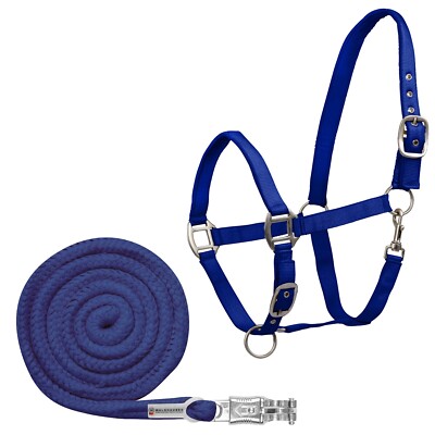 Pferde Halfter und Strick Set Waldhausen Satin blau Shetty | eBay.de
