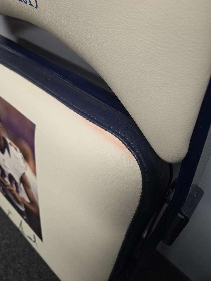 Silla plegable de metal Baltimore Raven Ed Reed Hall of Fame clase de 2019 MUY RARA Foto 4 de 4