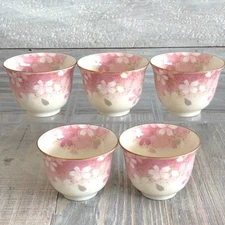 Mino Ware Japanese Porcelain Green Tea Cup 5-piece Chiyo Uno's Sakura Design