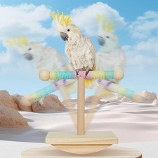 Parrot Perch Stand Playing Freestanding Wood Desktop Bird Training Stand for