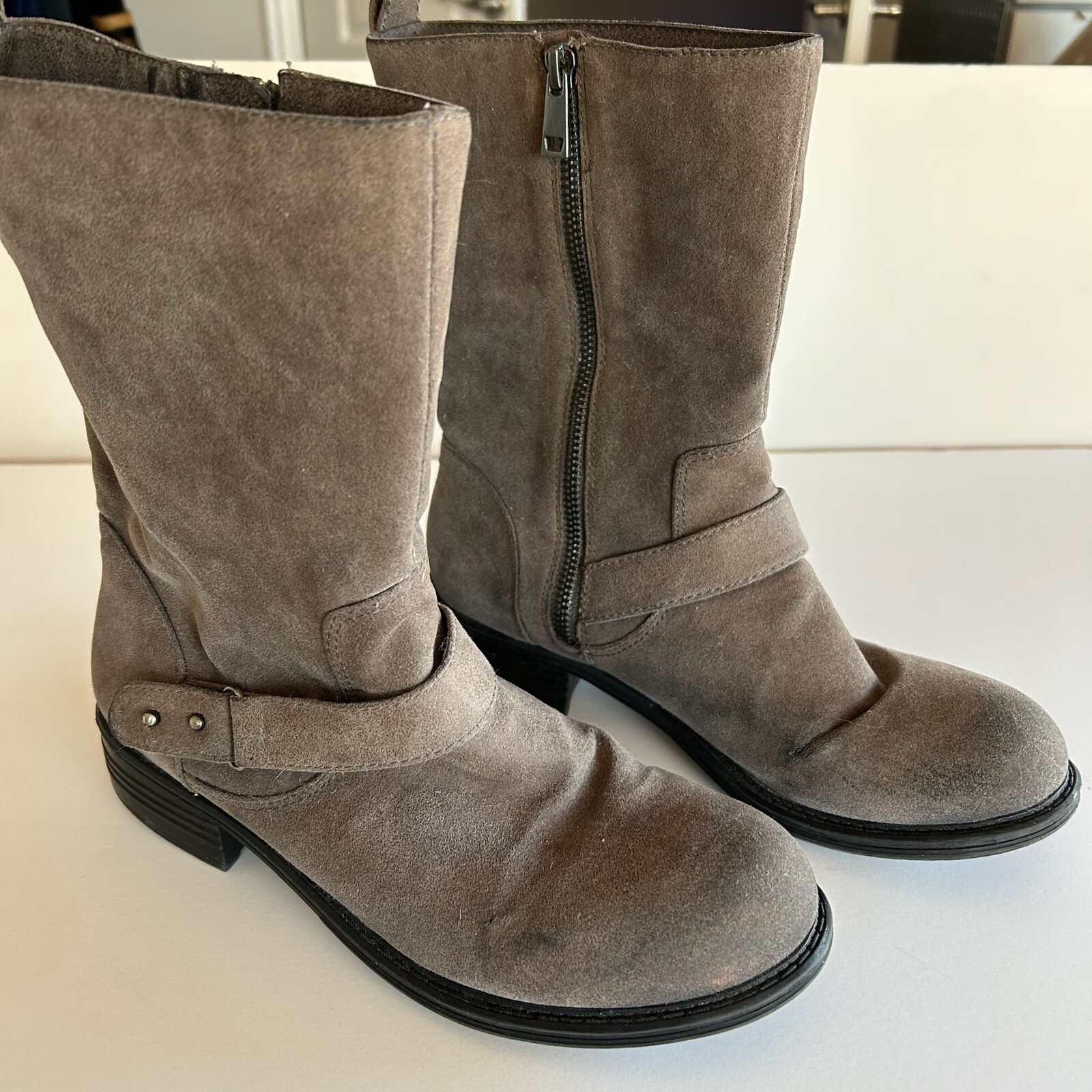 SAOLA Stivaletti moto Sole Society stivaletti scamosciati pelle zip beige tortora 7 1 2 B