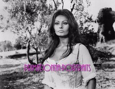 SOPHIA LOREN 8x10 Lab Photo 1960s Sexy Busty Legendary Actress Movie Still