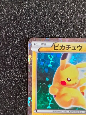 Pikachu 108/BW-P Holo Promo Pokemon Card Beginning Set Pikachu 108/BW-P Holo Promo Pokemon Card Beginning Set