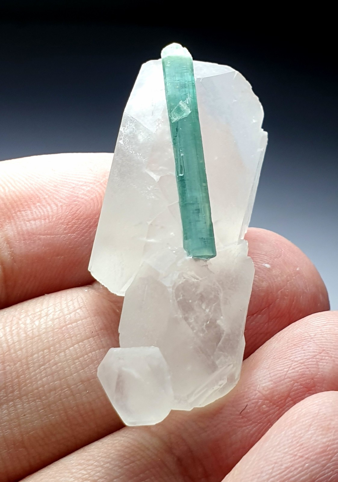 Beautiful Natural Paraiba Color Tourmaline Crystals Combine With Quartz 