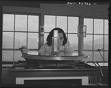 Photo:Pine Mountain fire lookout station manned by Barbara Mortensen