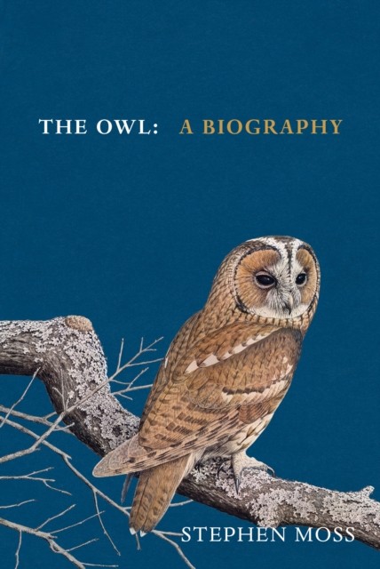 The Owl A Biography by Stephen Moss (Hardback Book) - Image 2