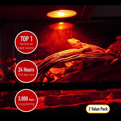 Reptile Heat Lamp 2-Pack 75W Day and Night Basking Bulb Light for Reptiles - 第 4/6 張圖片