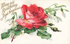 Postcard May all Birthday Joys be yours, International Art Pub, Co., VTG VPC02.