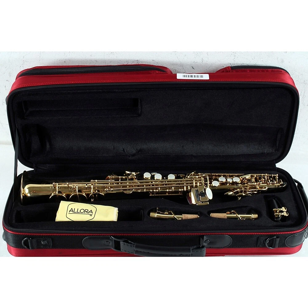 Allora flute shop gig bag
