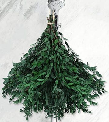 40+ Dried Eucalyptus Stems Real for Shower 15-25 PCS 17'' 8OZ Preserved Fresh...