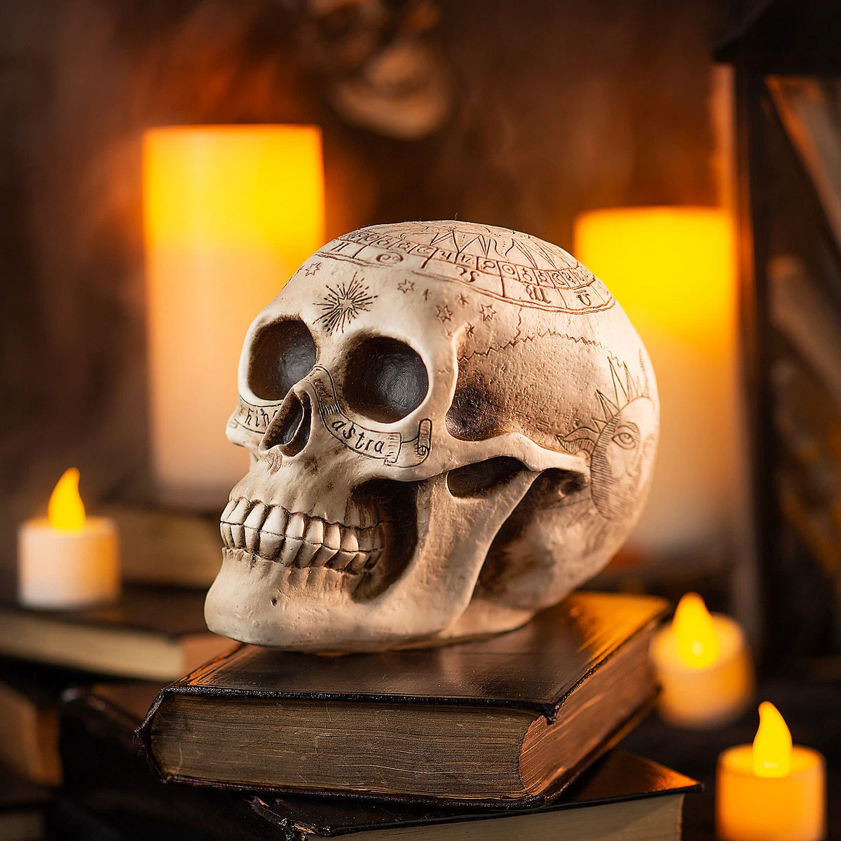 Skull decorations sales for the home