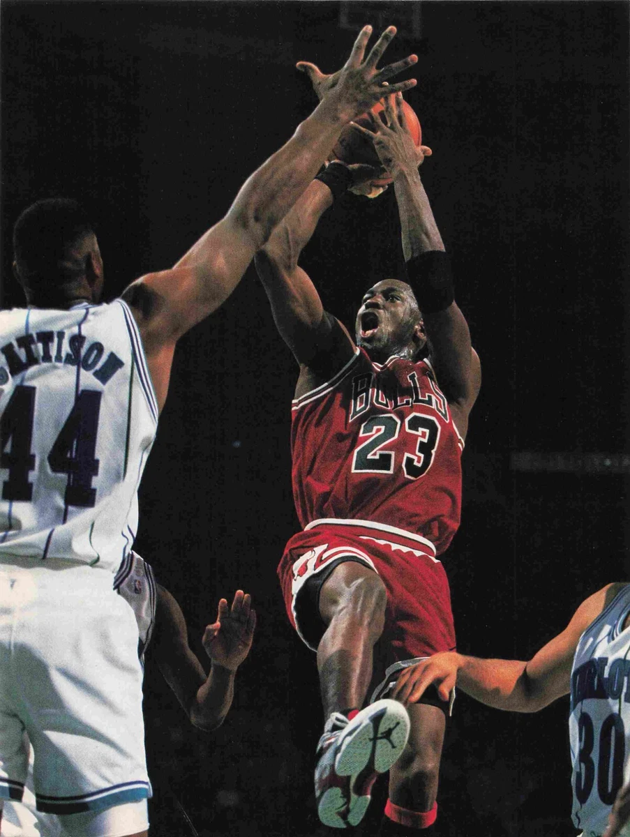 Michael sales jordan 1990s