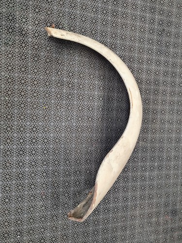 VW Käfer Kotflügel hinten links, vermutlich 1200-1500 Bj. 68-72