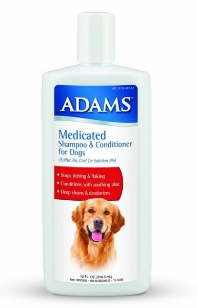 shampoo for dogs to stop itching