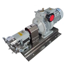 Cam Rotor Pump 220V 0.55KW 3PH Colloid Pump Transfer High Viscosity Liquids