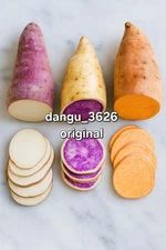 15 Sweet Potato Slips - Red Japanese + Okinawa + Beauregard Mix – Organic USA