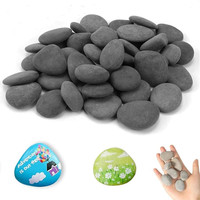 50 StüCk Flache Steine Zum Bemalen 1-3Cm Dekosteine Naturstein Diy Aquarium Deko