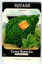 Hubbard Squash 1920's Card Seed Co Packet EMPTY Vintage Fredonia New York NY