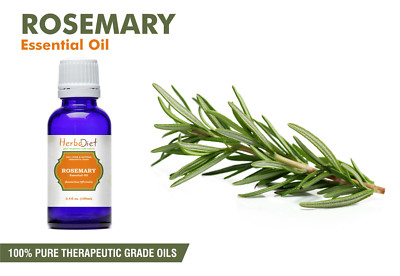 Rosemary Essential Oil 100% Pure Natural PREMIUM Uncut Therapeutic Grade Oils