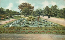 Pennsylvania Philadelphia Water Lilies Fairmount Park  C-1910 Postcard 22-10804