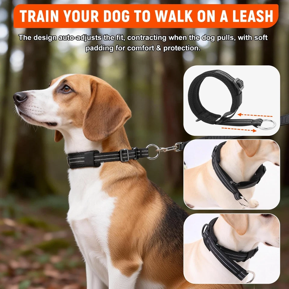 Collier pour Chien en Nylon Résistant, Collier Martingale Chien Grand Moyen - Photo 3/4