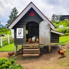 Chicken Coop Accessories Metal Signs,Funny Chickens Tin Signs - Chicken Decor...