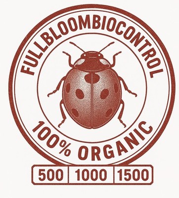 Organic Aphid and Spider Mite Control 500 Live Ladybugs for Garden
