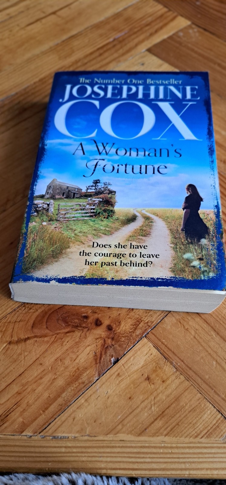 A Woman’s Fortune - Josephine Cox