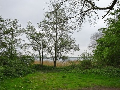 Photo A3 Pasture Wharf Nature Reserve, Barton-upon-Humber, Lincolnshire  c2017