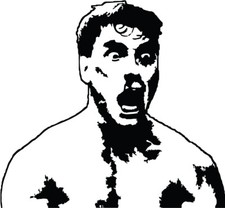 Jean-Claude Van Damme VINYL DECAL Bloodsport Kickboxer STICKER laptop car