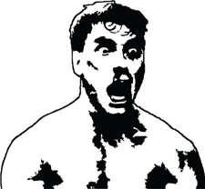 Jean-Claude Van Damme VINYL DECAL Bloodsport Kickboxer STICKER laptop car