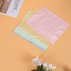 Bild 11 von 12