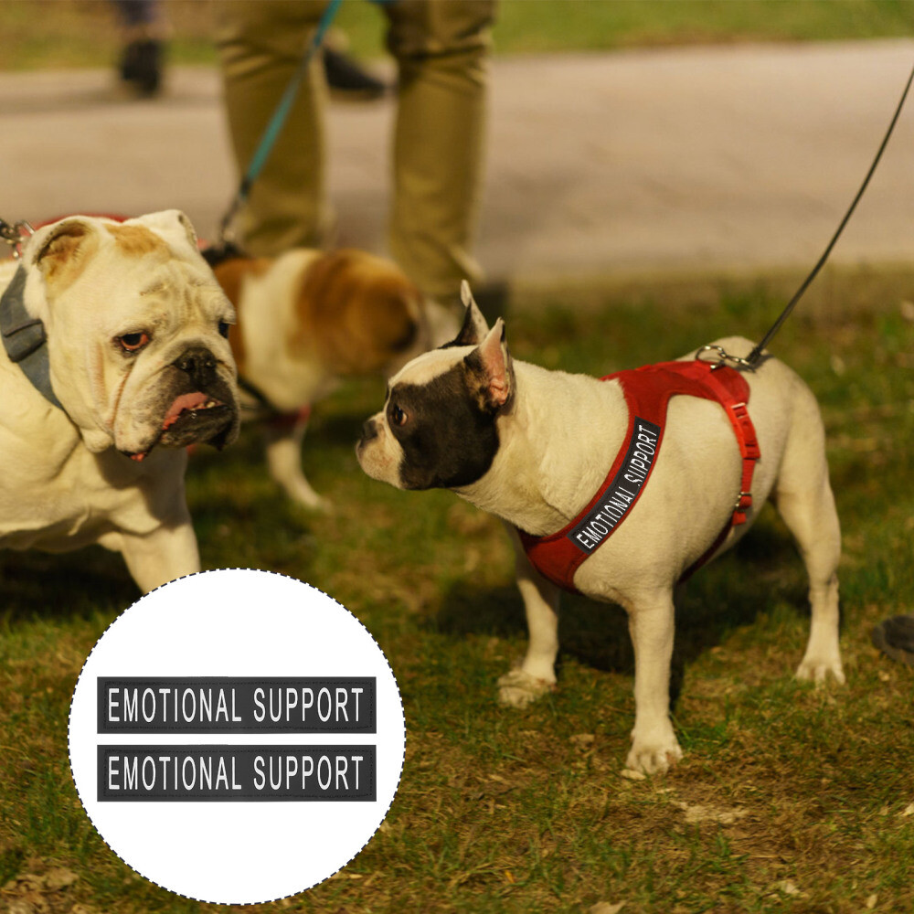 2 Pairs Labrador Harness with Pet Supplies Self-adhesive Chest Patches