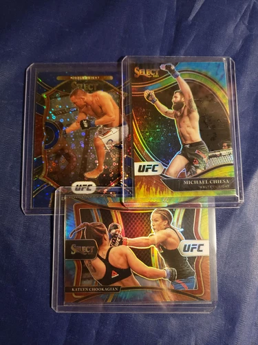 2021 Panini Select UFC Pick Your Card  Relic/Auto/Prizm