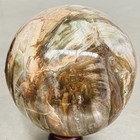 Natural Petrified Wood Polished Stone Quartz Crystal Sphere Ball Healing 1800G — photo 4