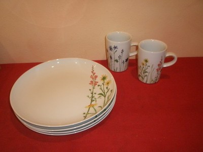 KAHLA Five Senses Wildblume  1 Speiseteller 1 Kaffeebecher   zur  Wahl